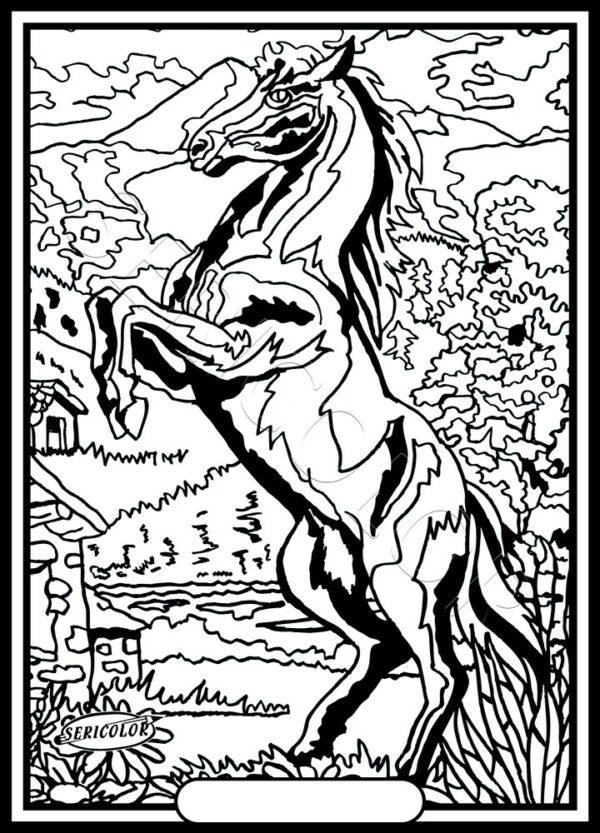 CHEVAL CABRE