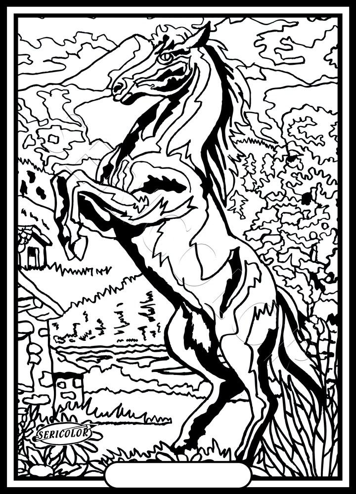 CHEVAL CABRE – Image 2