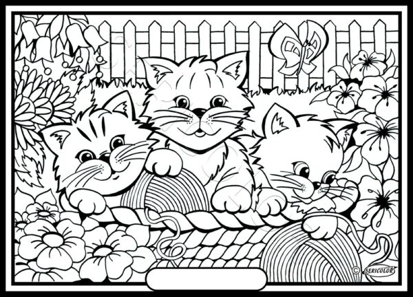 TROIS CHATONS