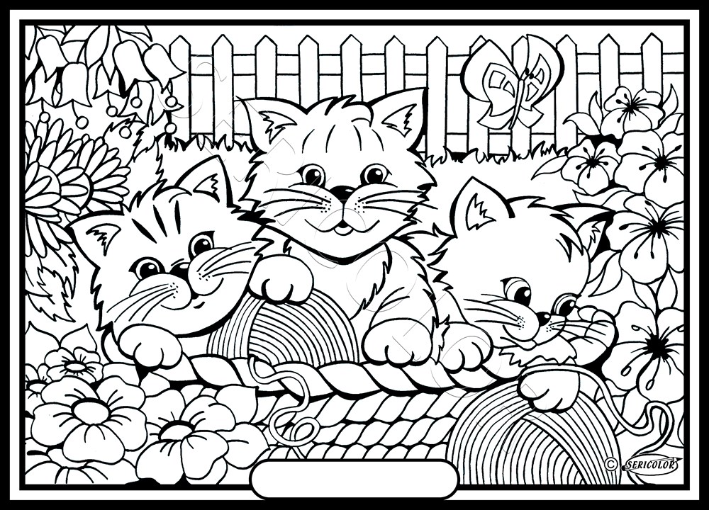 TROIS CHATONS – Image 2