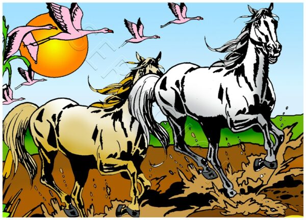 CHEVAUX CAMARGUE