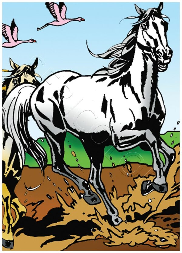 CHEVAL SEUL