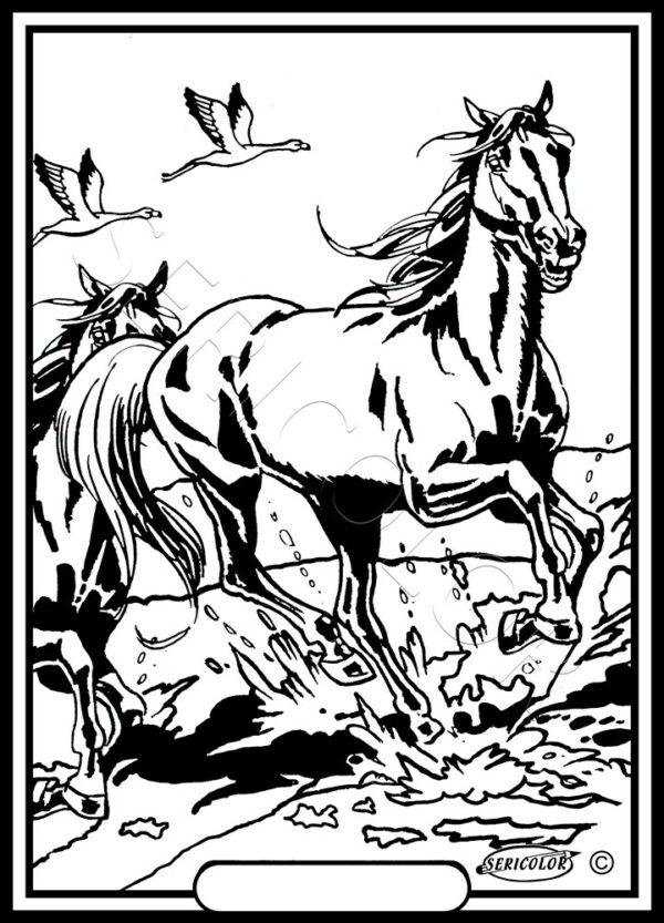 CHEVAL SEUL