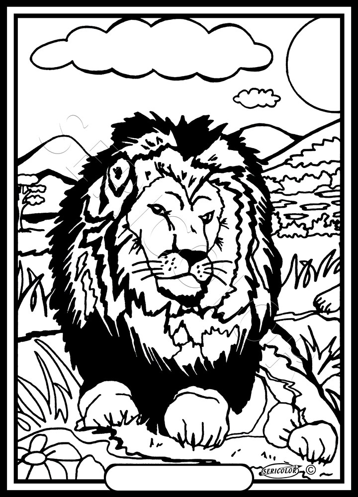 LION – Image 2