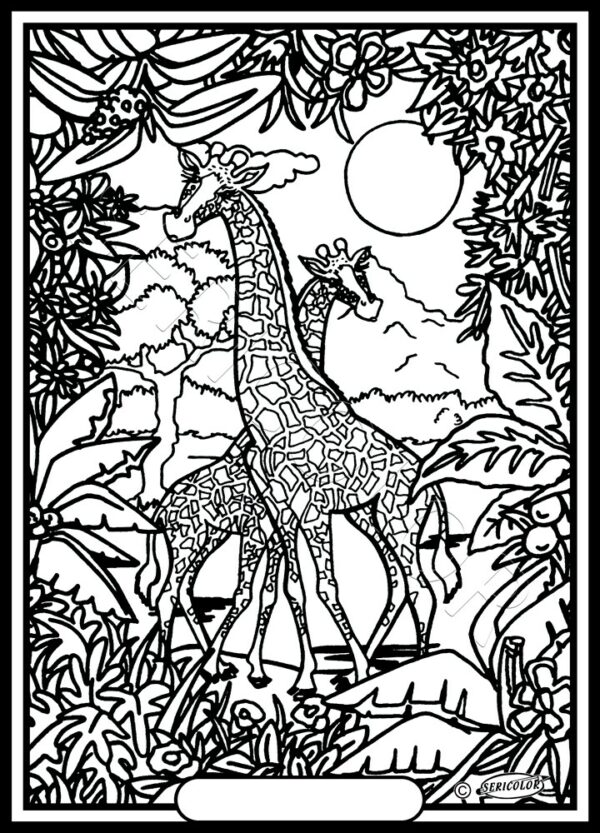 GIRAFES