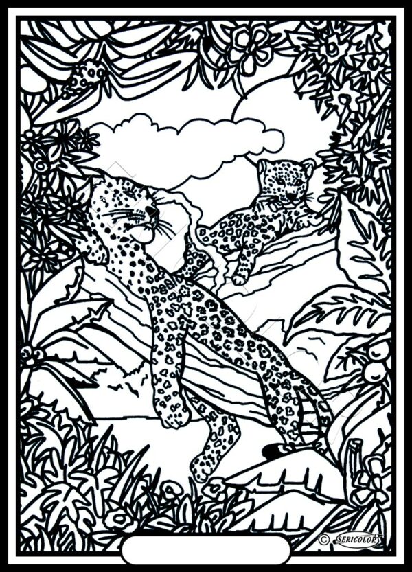 LEOPARDS