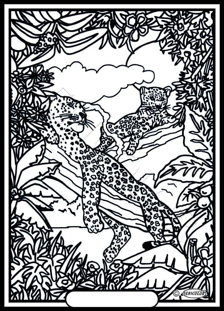 LEOPARDS – Image 2