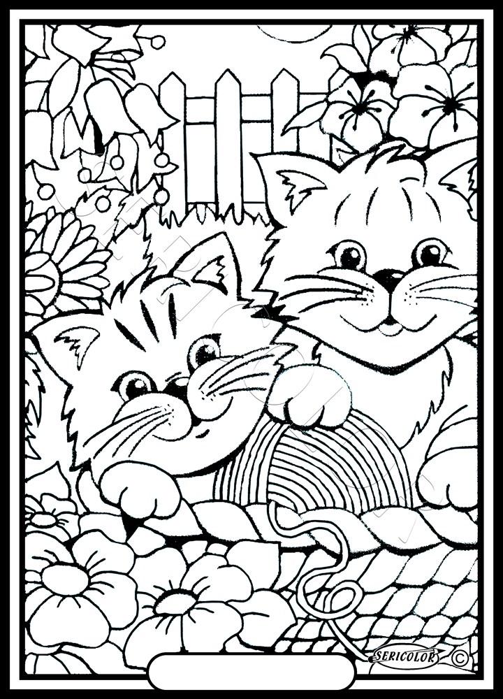 DEUX CHATONS – Image 2