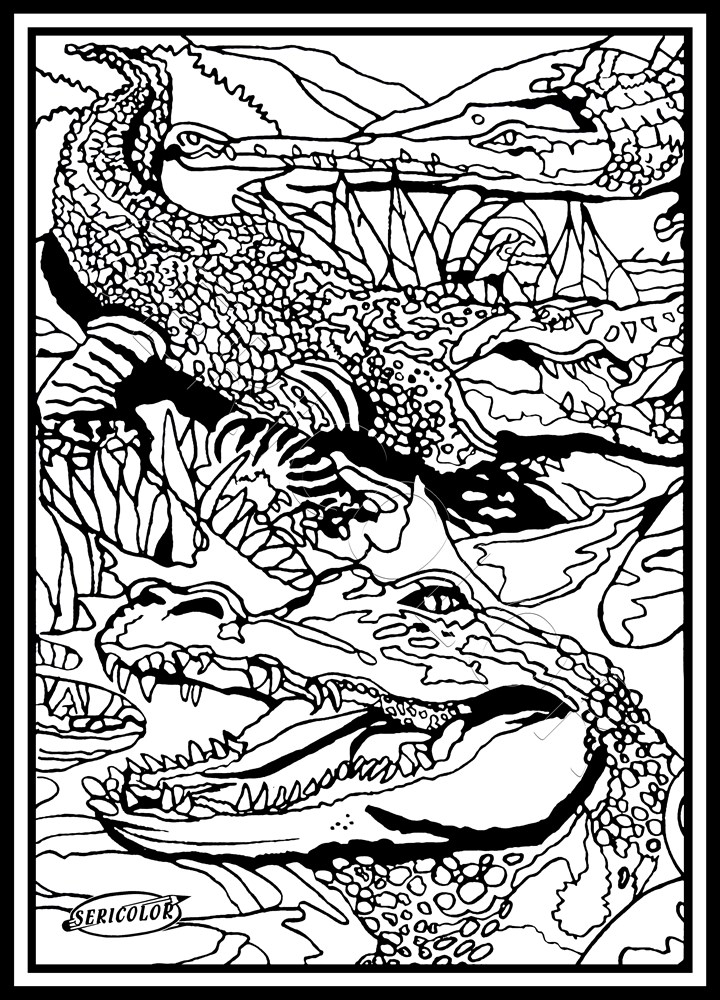 CROCODILE – Image 1