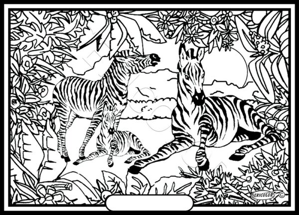 FAMILLE ZEBRE
