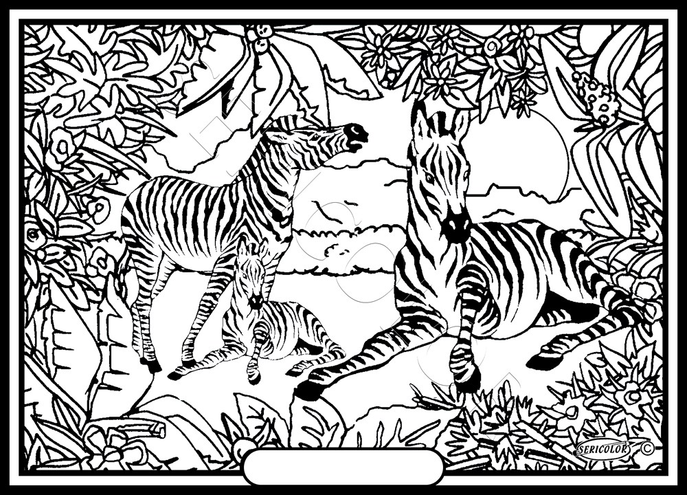 FAMILLE ZEBRE – Image 1