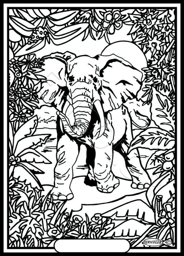 ELEPHANT