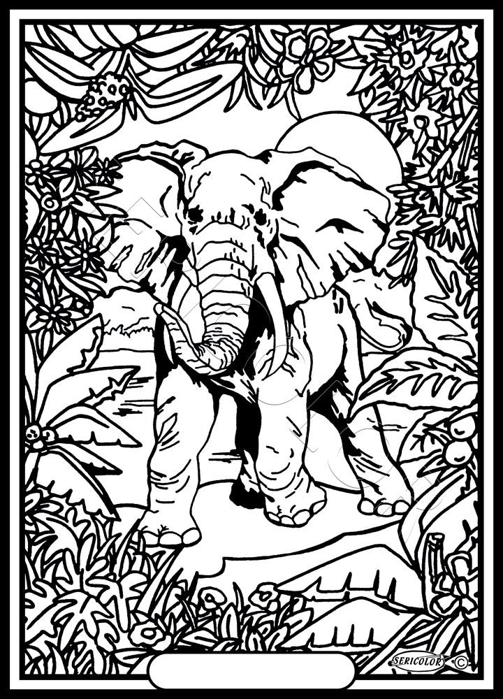 ELEPHANT – Image 2