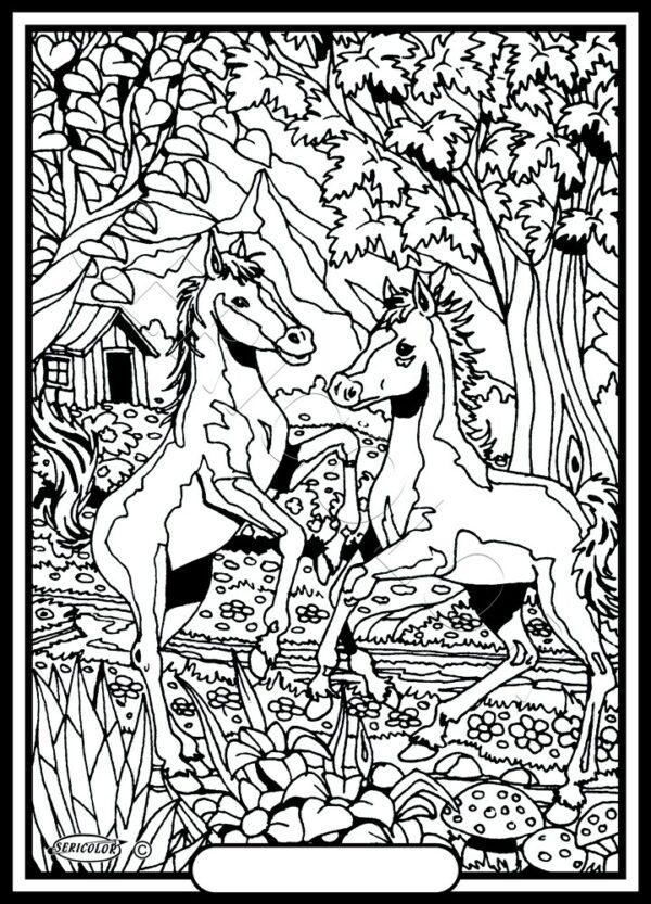 DEUX POULAINS