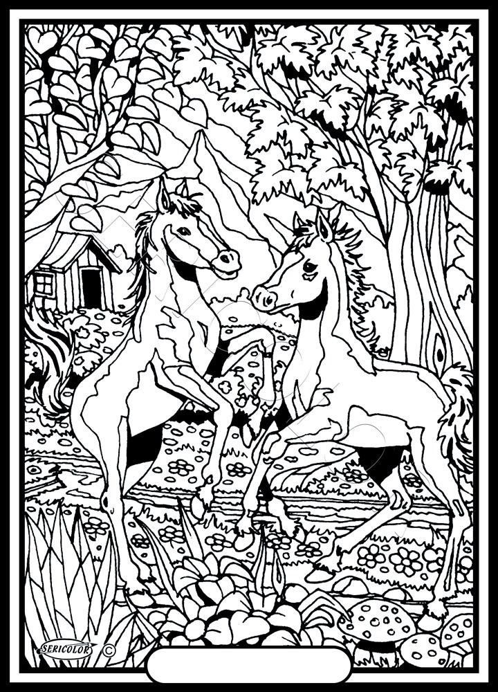 DEUX POULAINS – Image 2
