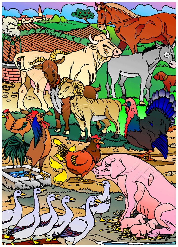 ANIMAUX DE LA FERME – Image 3