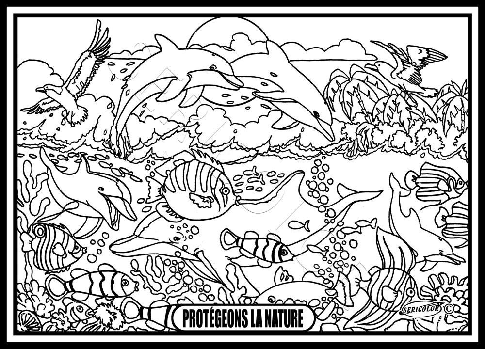DAUPHINS ET CORAUX – Image 2