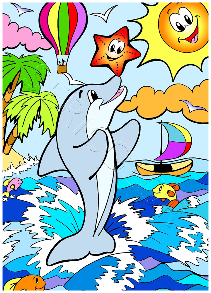 DAUPHIN ÉTOILE – Image 3