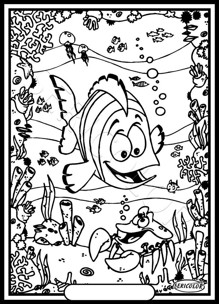 POISSON CLOWN – Image 2