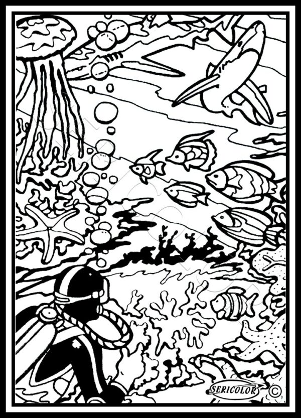 PLONGEUR ET REQUINS