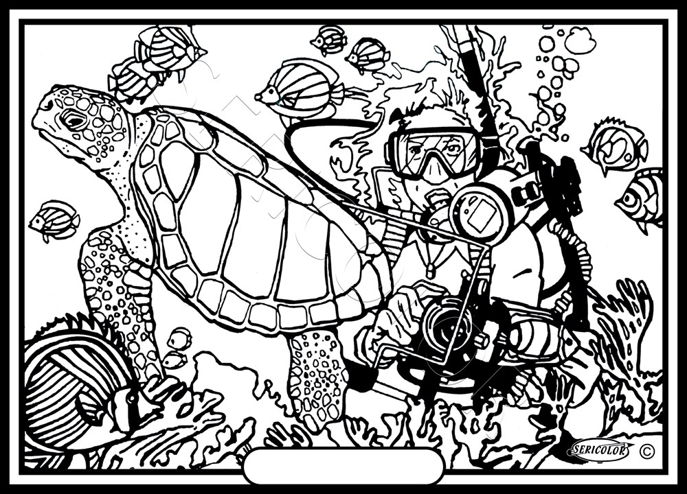PLONGEUR TORTUE – Image 2