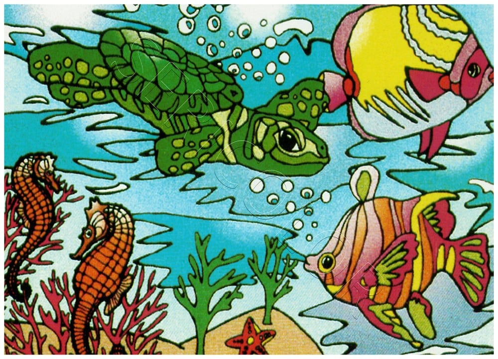 TORTUE HIPPOCAMPES – Image 3
