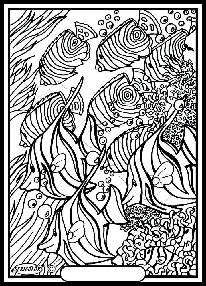BANDE DE POISSONS – Image 2