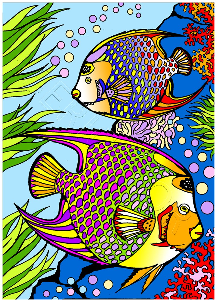 POISSON ANGE – Image 3
