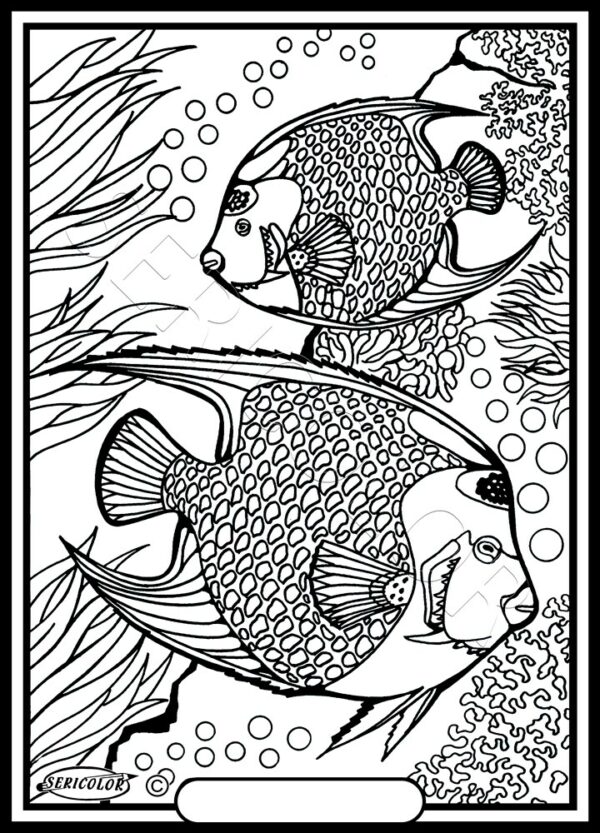 POISSON ANGE