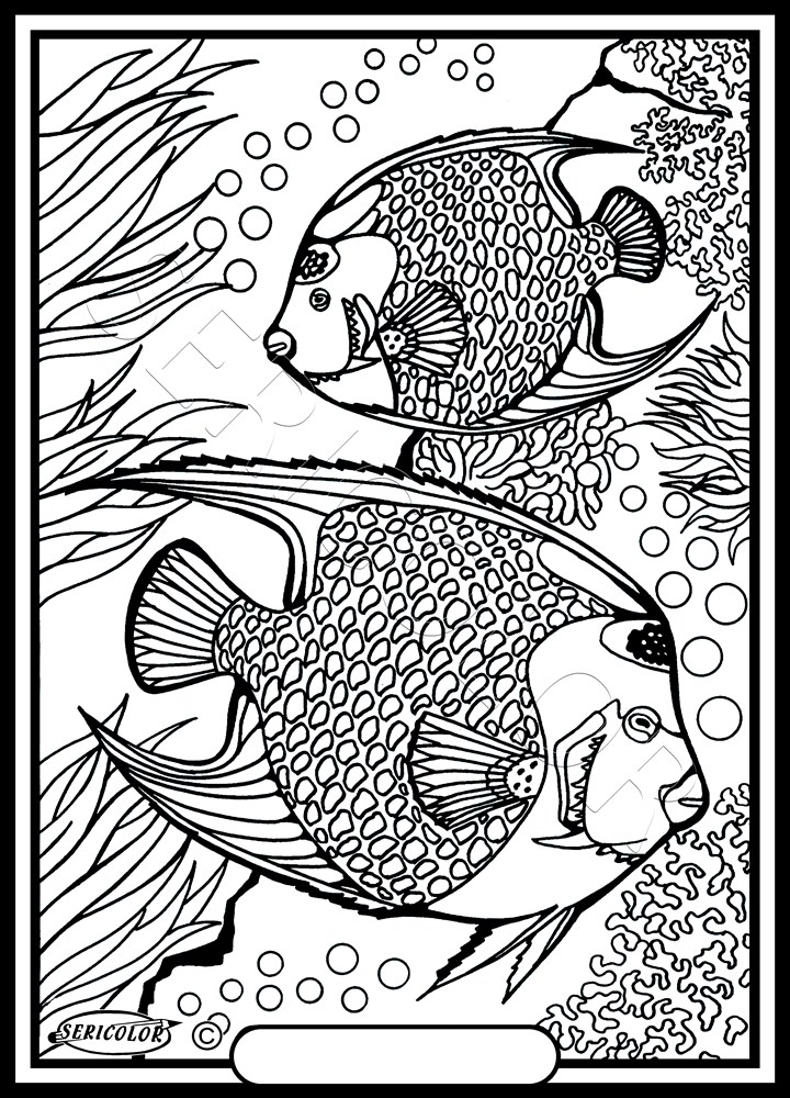POISSON ANGE – Image 2