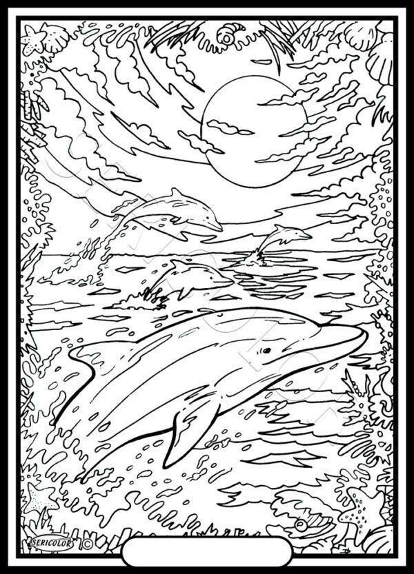 DAUPHIN CREPUSCULE