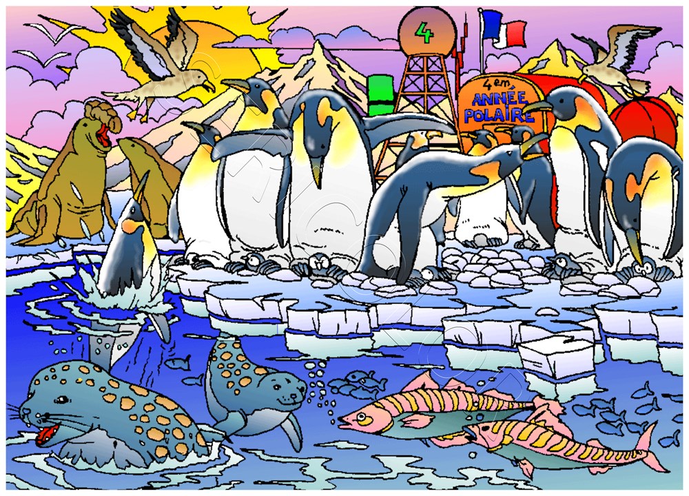PINGOUINS – Image 3