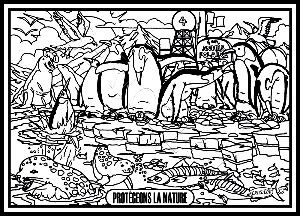 PINGOUINS – Image 2