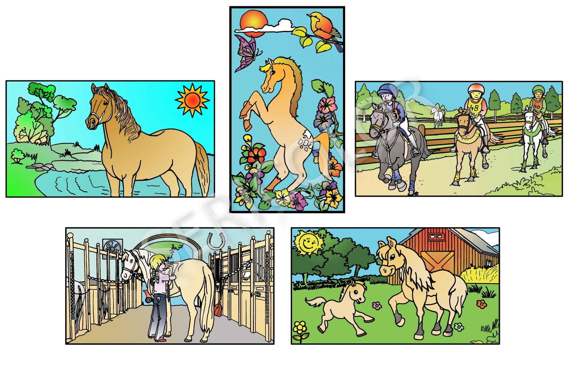 CHEVAUX – Image 2