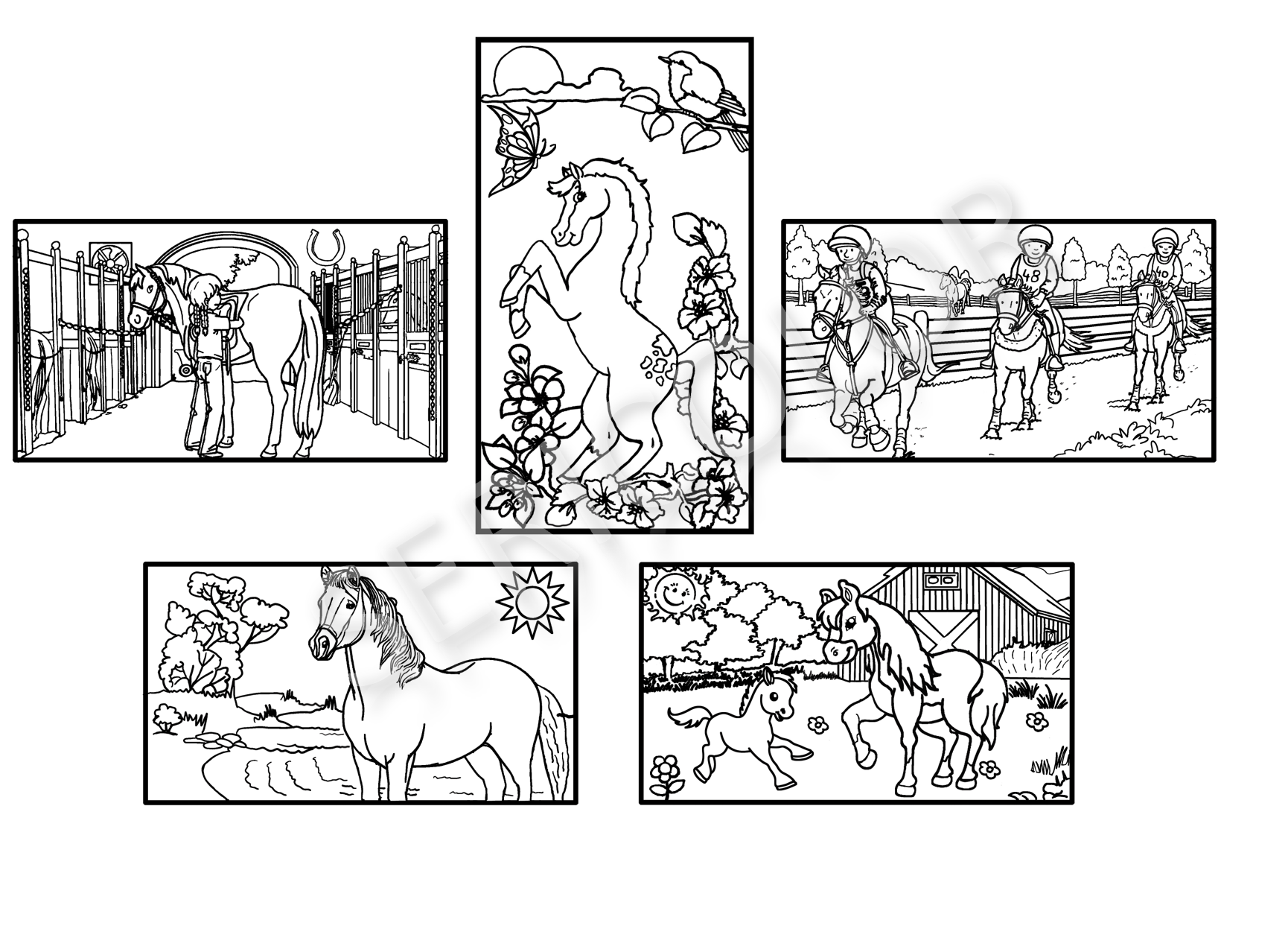 CHEVAUX – Image 1
