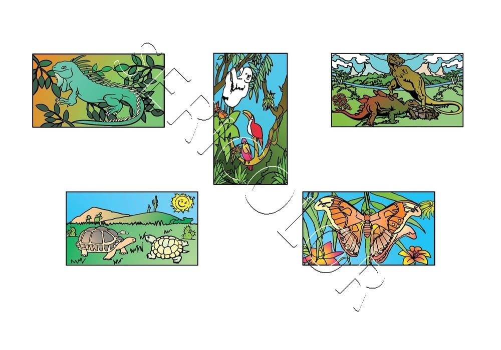 ANIMAUX SAUVAGES VOLUME 2 – Image 2