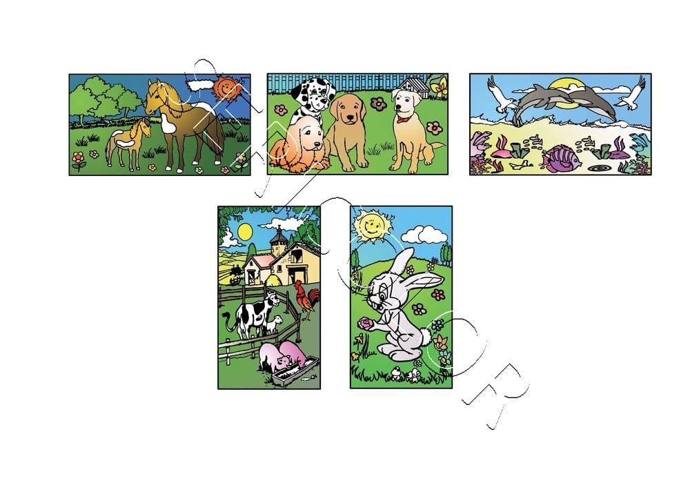 ANIMAUX – Image 2