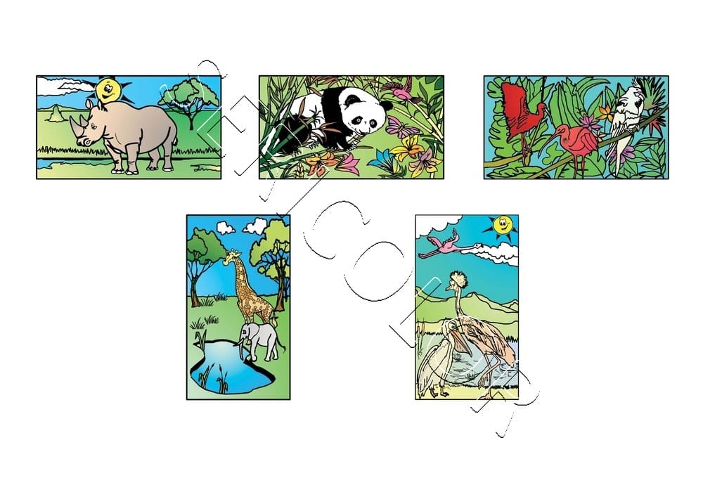 ANIMAUX SAUVAGES VOLUME 1 – Image 2