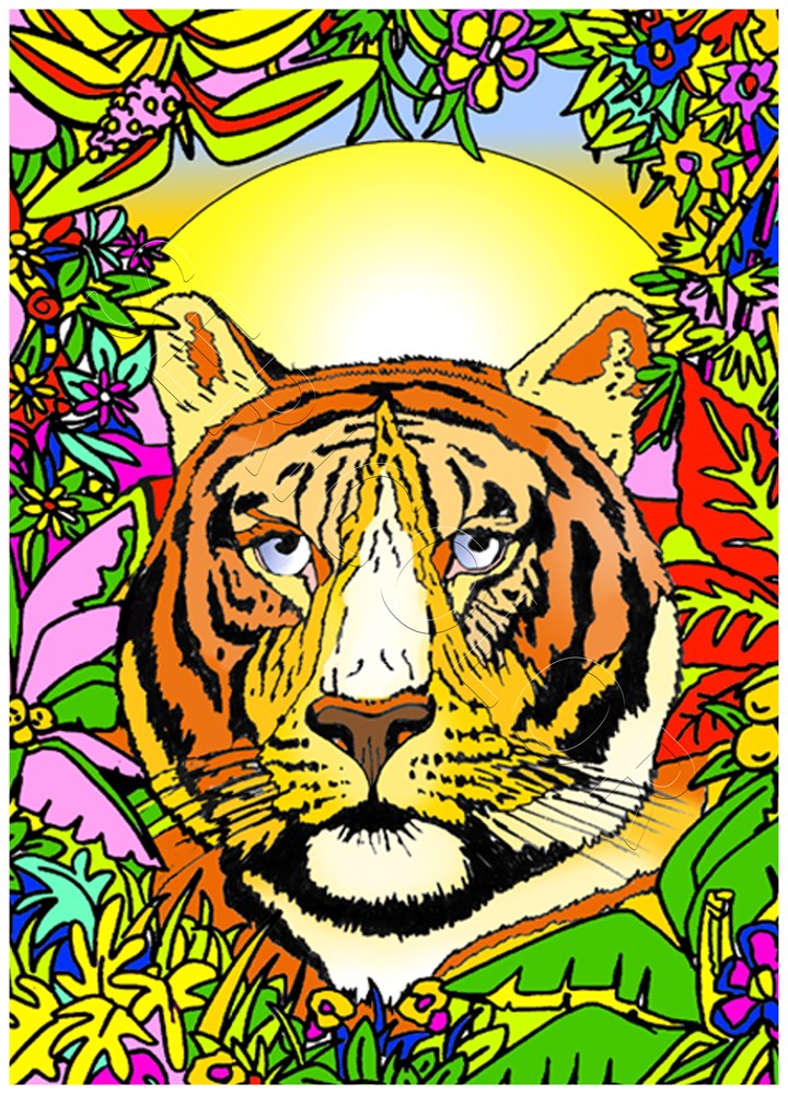TIGRE – Image 3