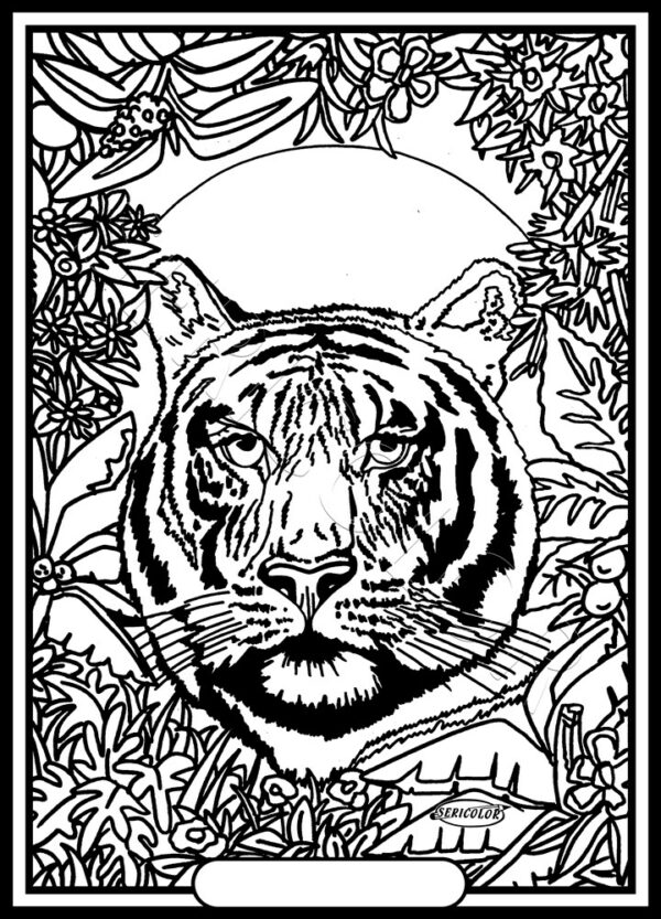 TIGRE