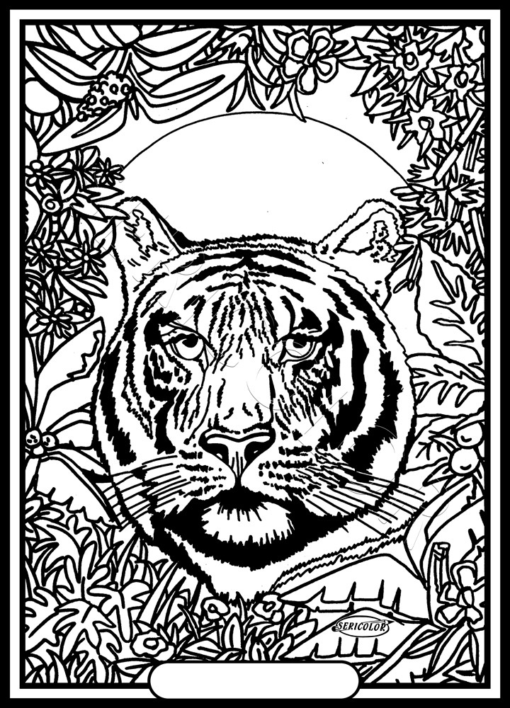 TIGRE – Image 2