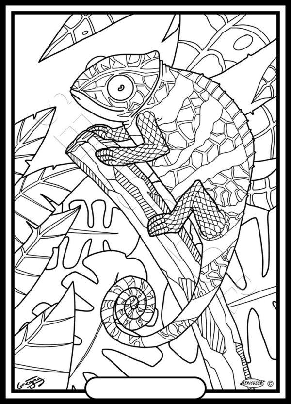 CAMELEON GREGORY