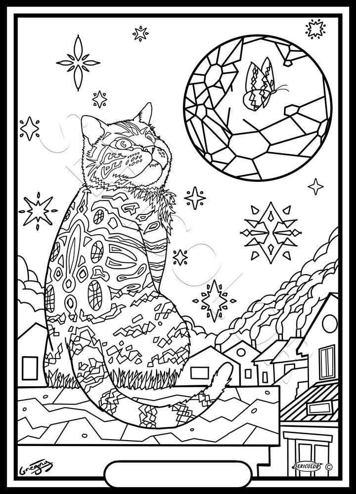 CHAT GREGORY – Image 2