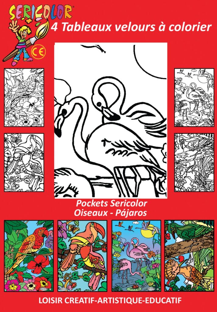 POCKET SERICOLOR - OISEAUX