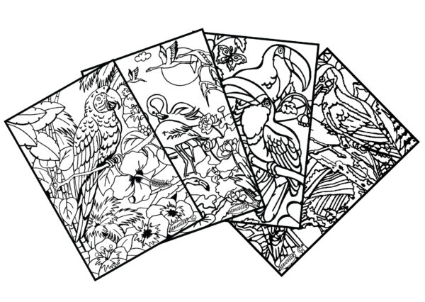 OISEAUX