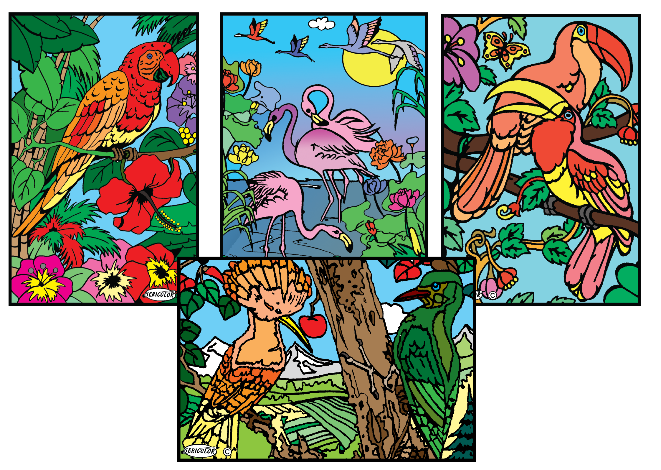 OISEAUX – Image 2