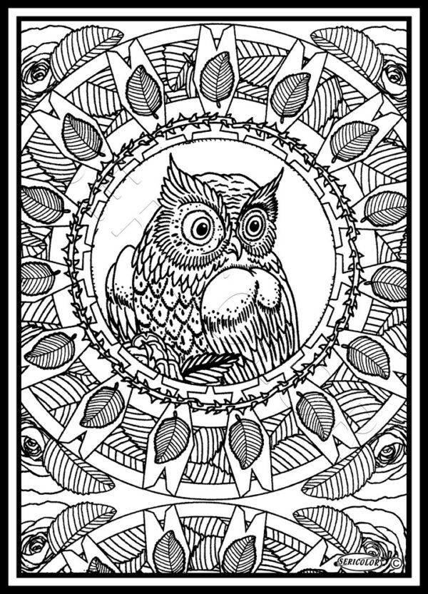 MANDALA CHOUETTE