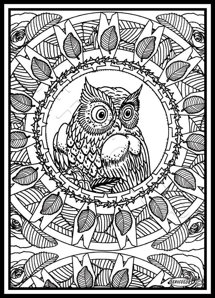 MANDALA CHOUETTE – Image 2