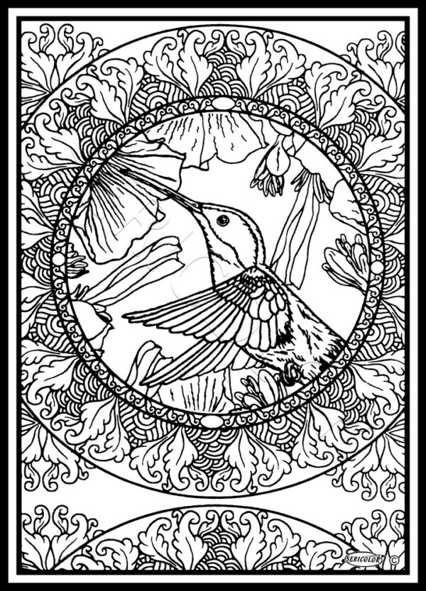 MANDALA COLIBRI