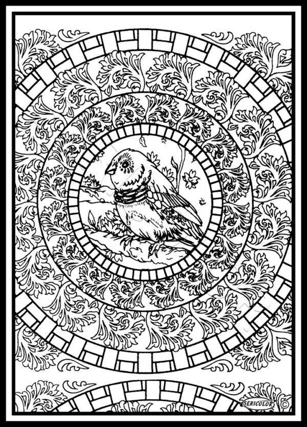 MANDALA OISEAU
